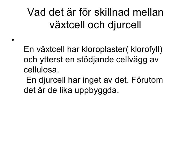 vad är skillnaden mellan vad är skillnaden mellan